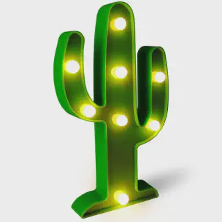 /img/13009-modern-cactus-decor.webp