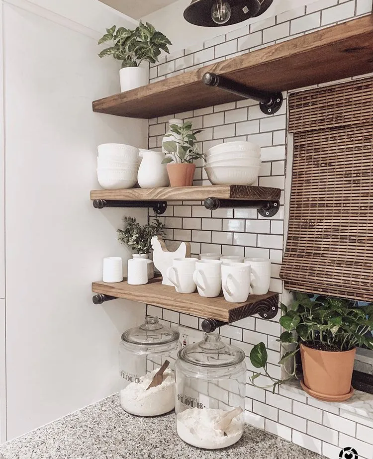 13104 kitchen plants