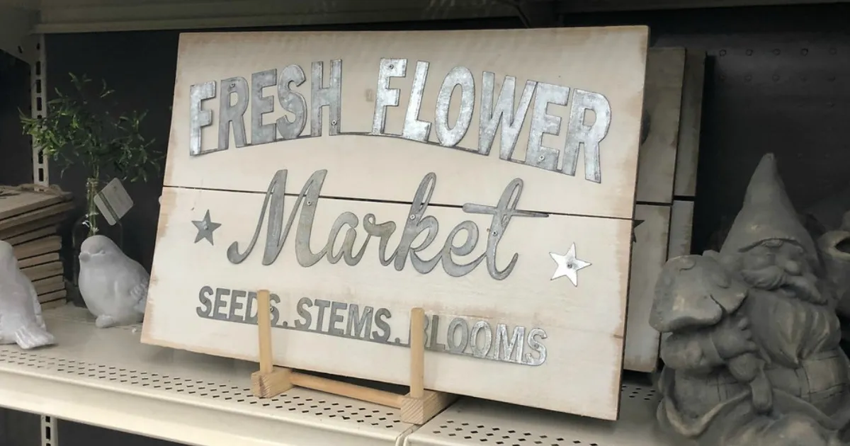 13172 farmhouse kitchen lighting